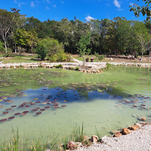 Hotel Real Primaveras Campestre