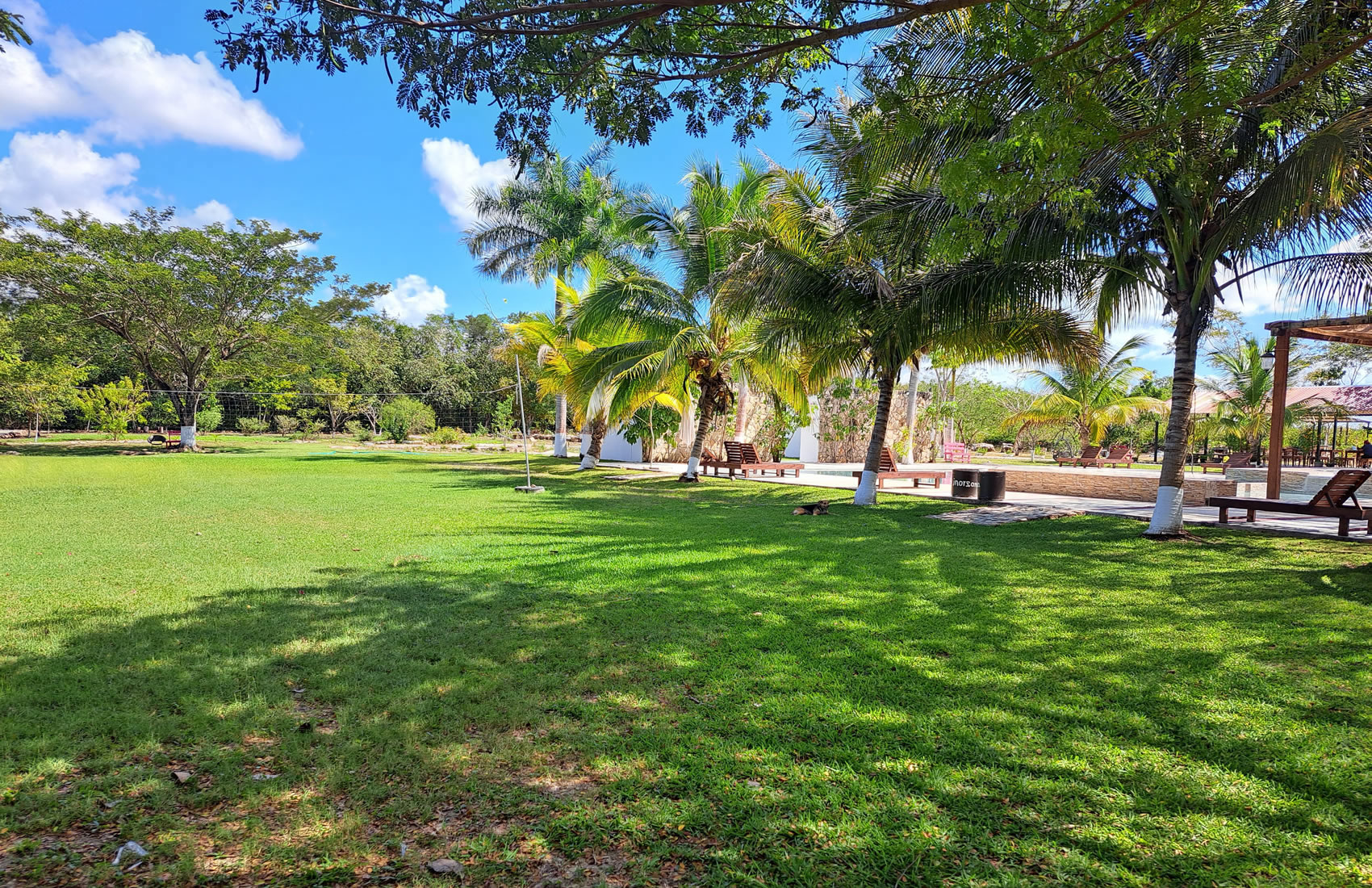 Hotel Real Primaveras Campestre